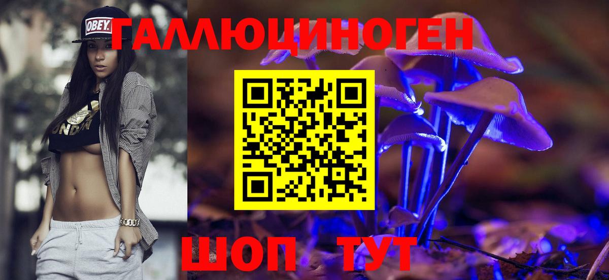Галлюциногенные грибы Psilocybe Луга